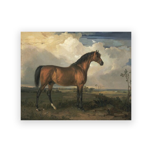Telas Vintage Equestre