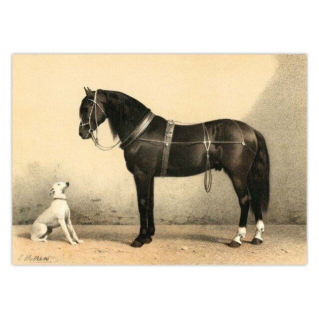 Telas Vintage Equestre