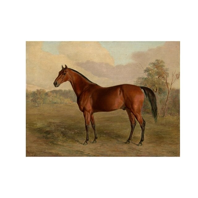 Telas Vintage Equestre