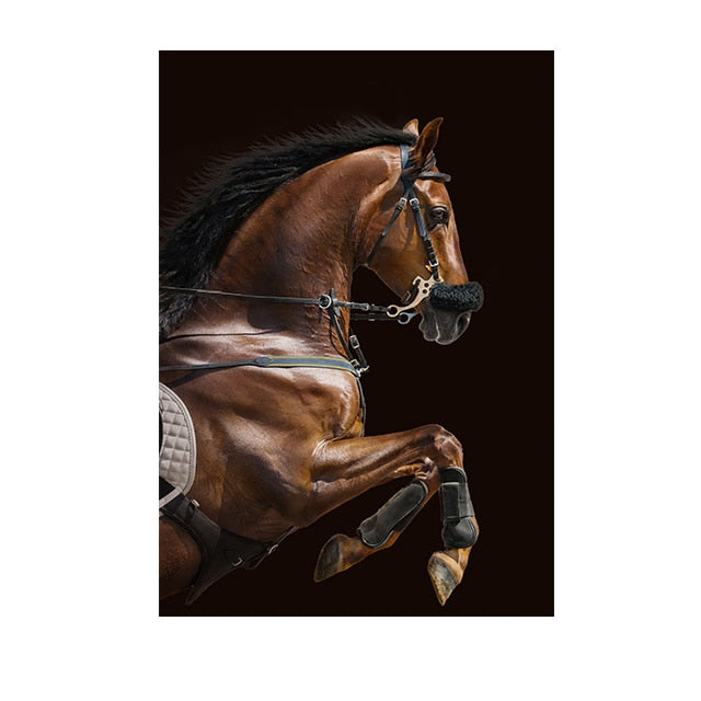 Pantalla COLOR CABALLO