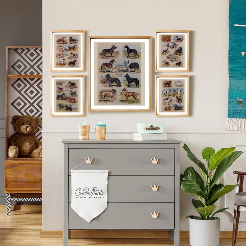 Biombos vintage para perros