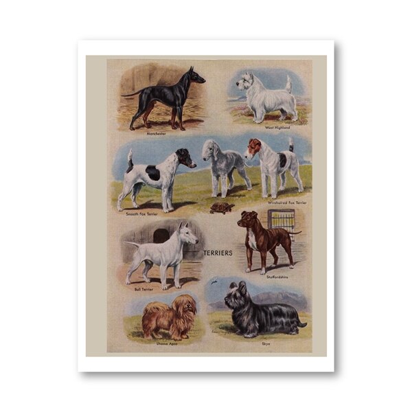 Biombos vintage para perros