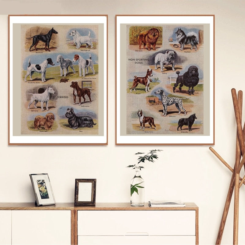 Biombos vintage para perros