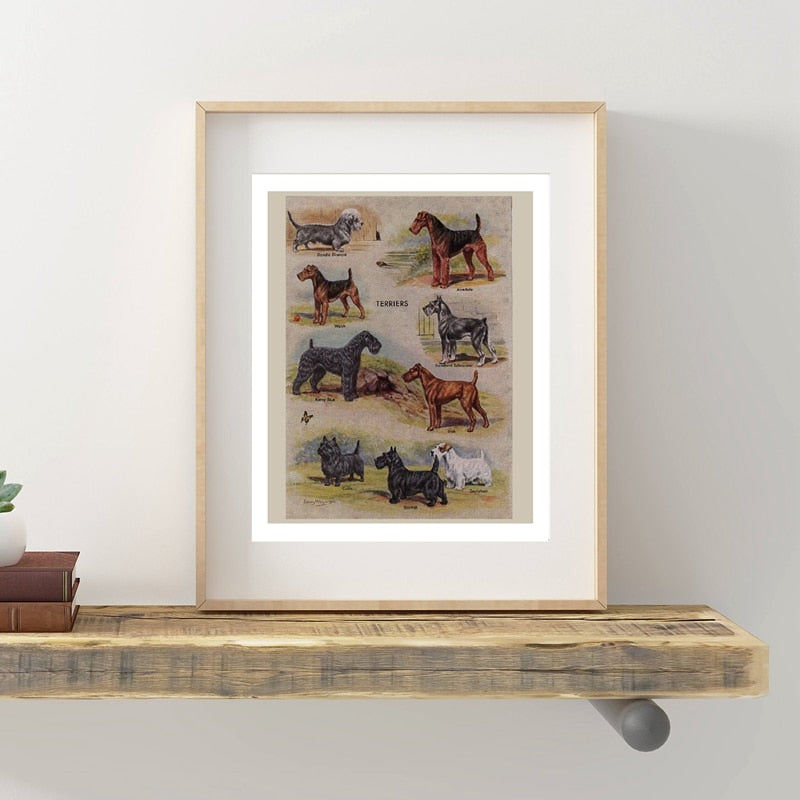Biombos vintage para perros