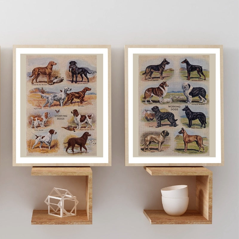 Biombos vintage para perros