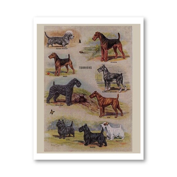 Biombos vintage para perros