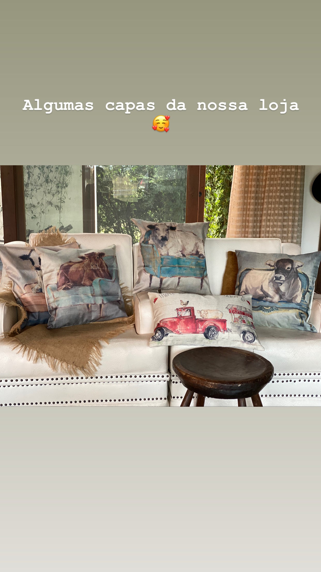 Capa de Almofada Animais